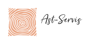 Ast-Servis